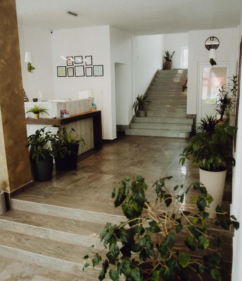 Vila Ursul Negru Sovata Extérieur photo