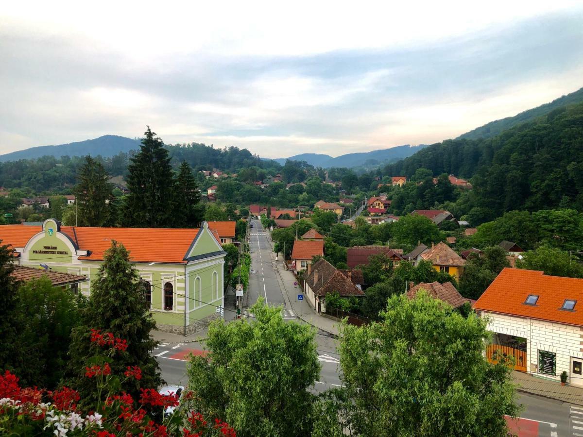 Vila Ursul Negru Sovata Extérieur photo